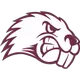 , NCAA Division III Tournament